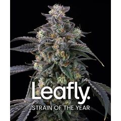 Super Boof, Фасовка: 3